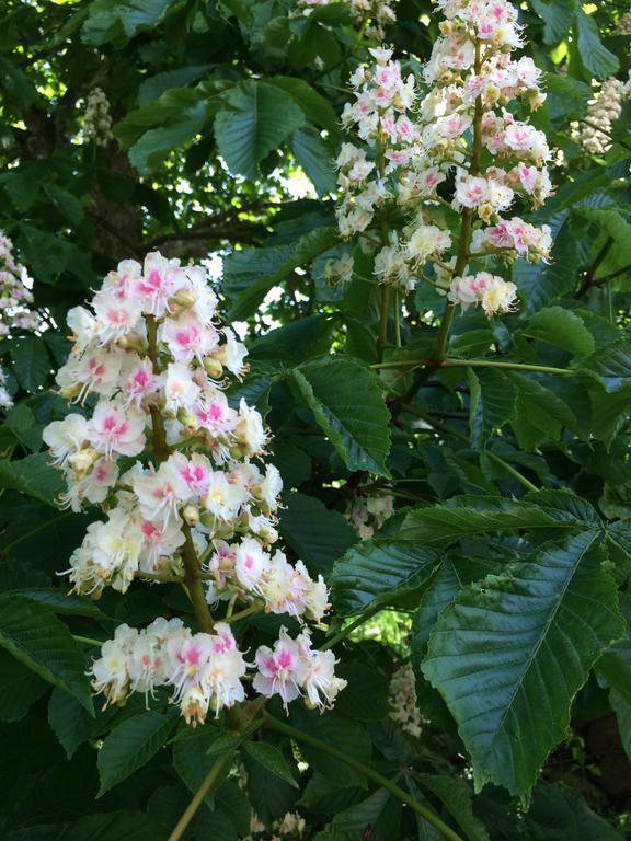 Paradiset Oestra Oeland Nedra Sandby 部屋 写真