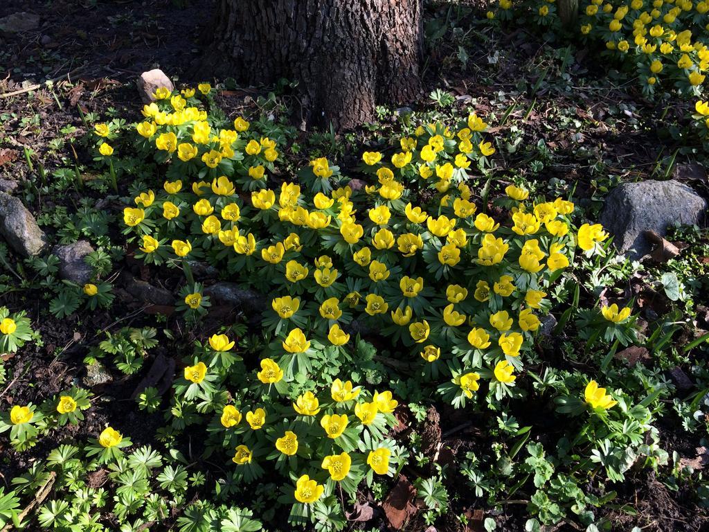 Paradiset Oestra Oeland Nedra Sandby 部屋 写真