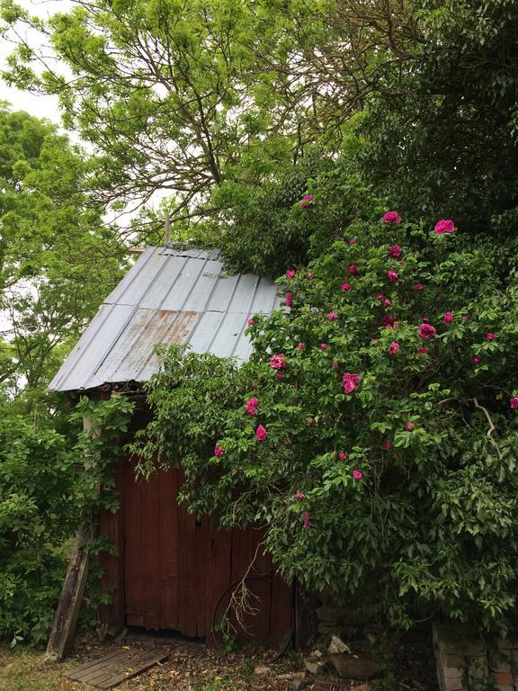 Paradiset Oestra Oeland Nedra Sandby エクステリア 写真